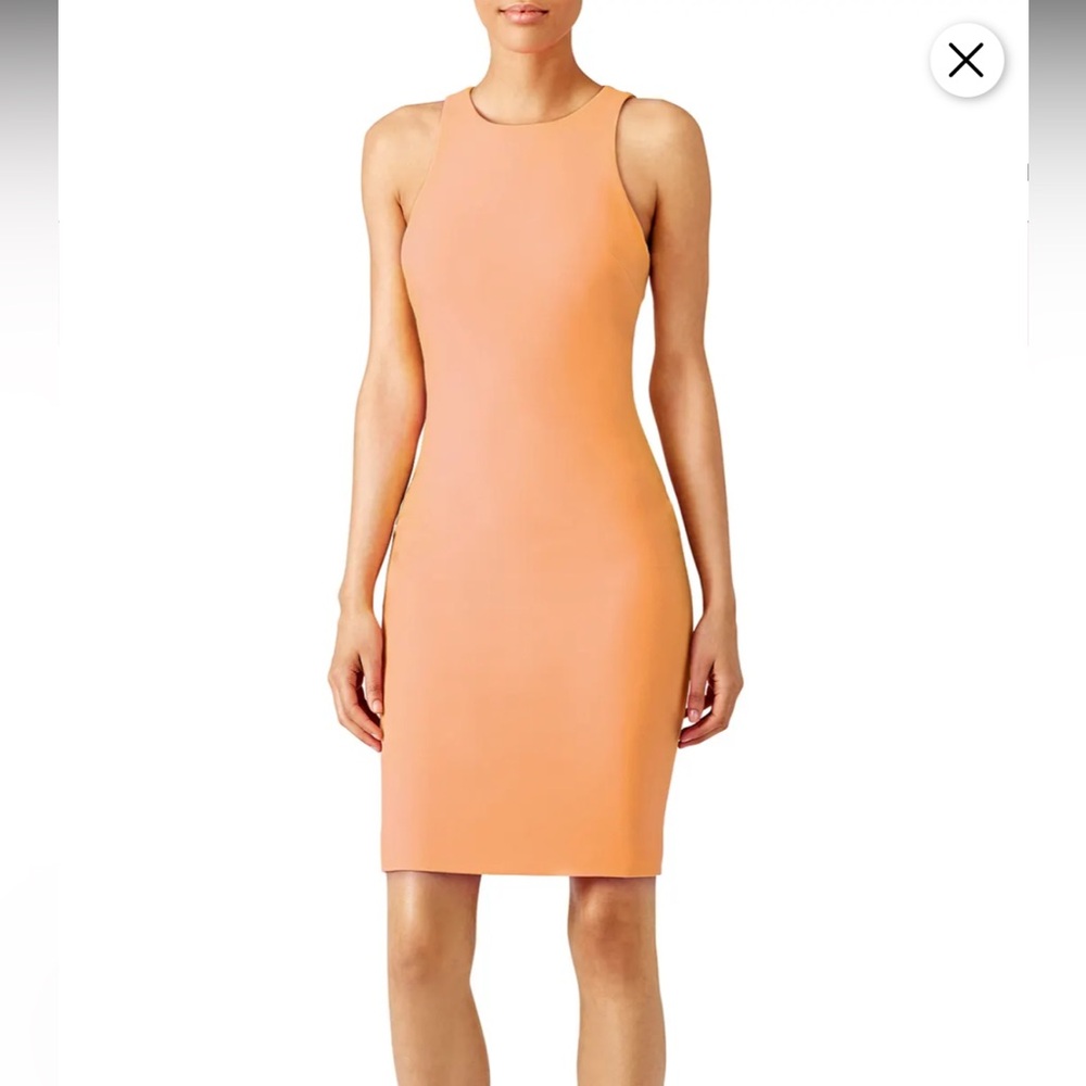 Elizabeth and James Kenna Dress